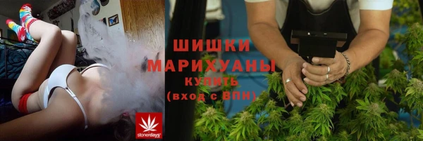 ешки Гусев