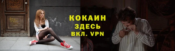 молекула духа Дмитров