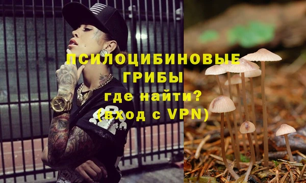 ешки Гусев
