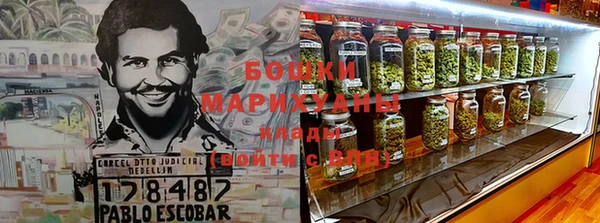 молекула духа Дмитров