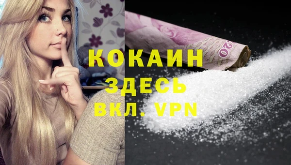 молекула духа Дмитров