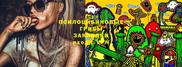 кокс Гусиноозёрск