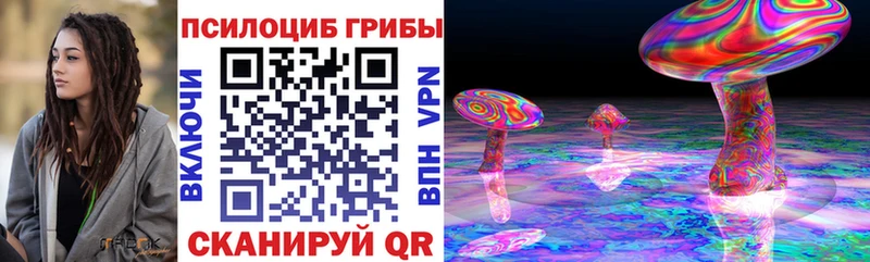 Купить где Лахденпохья Псилоцибиновые грибы Psilocybe