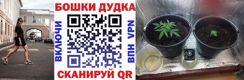 Купить закладки  Лахденпохья  МАРИХУАНА Amnesia 